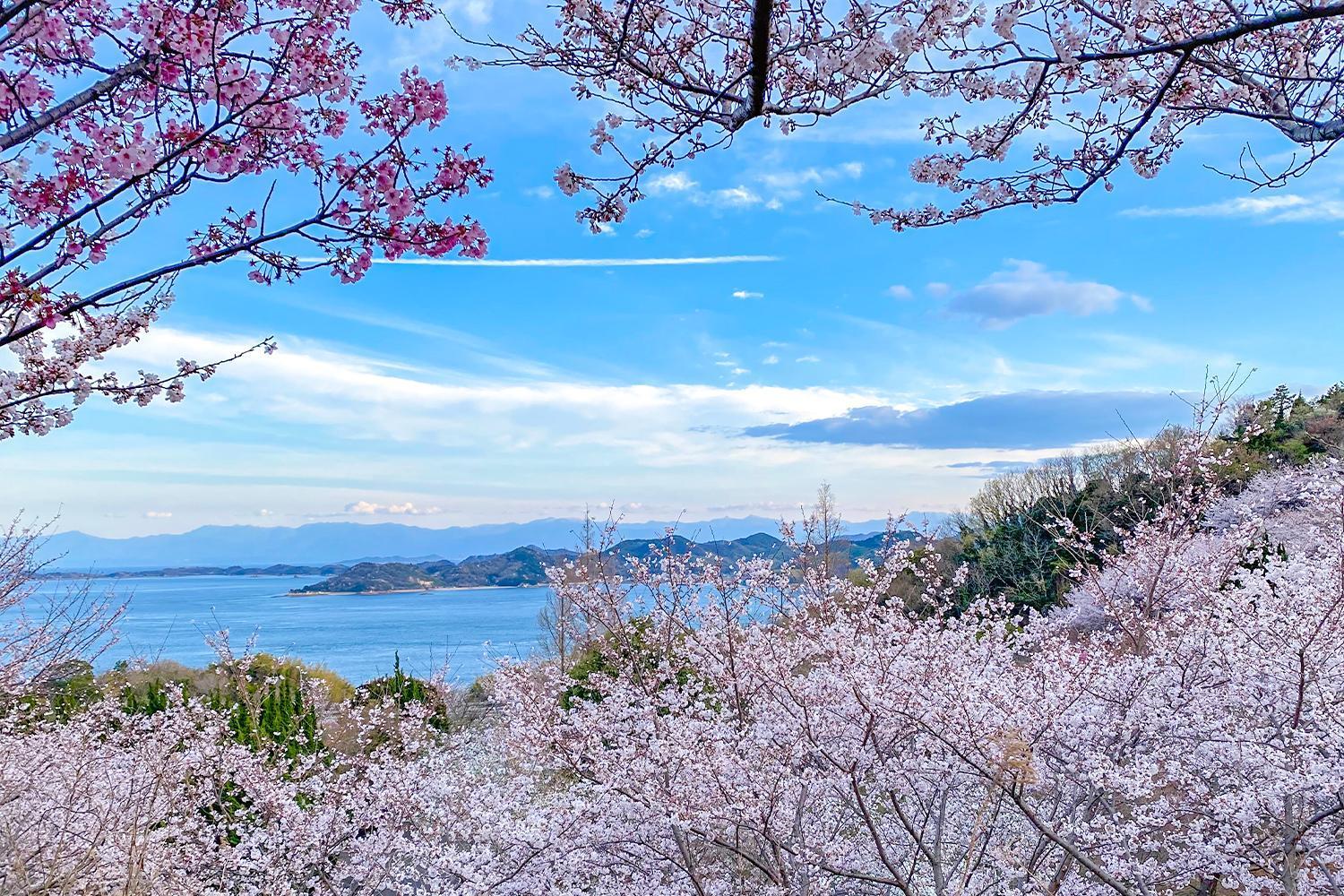 Willa Lemon Farm Glamping Simanami Onomichi Zewnętrze zdjęcie