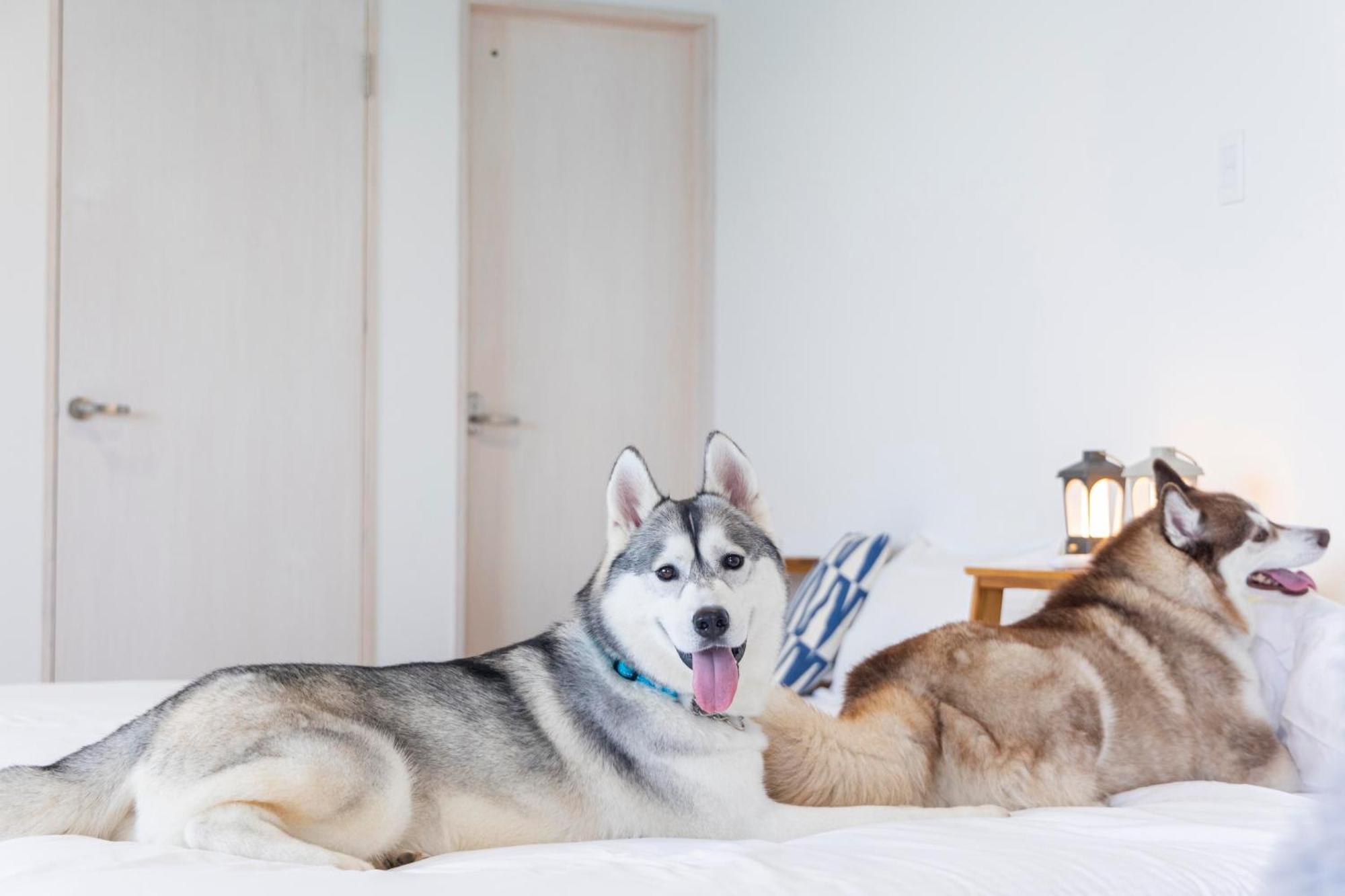 Willa Lemon Farm Glamping Simanami Onomichi Zewnętrze zdjęcie